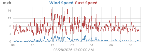 yearwind